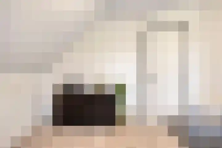 Ella Fitzgeraldlaan 70 Eindhoven thumbnail 34