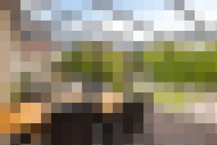 Ella Fitzgeraldlaan 70 Eindhoven thumbnail 40