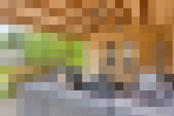 Ella Fitzgeraldlaan 70 Eindhoven thumbnail 50