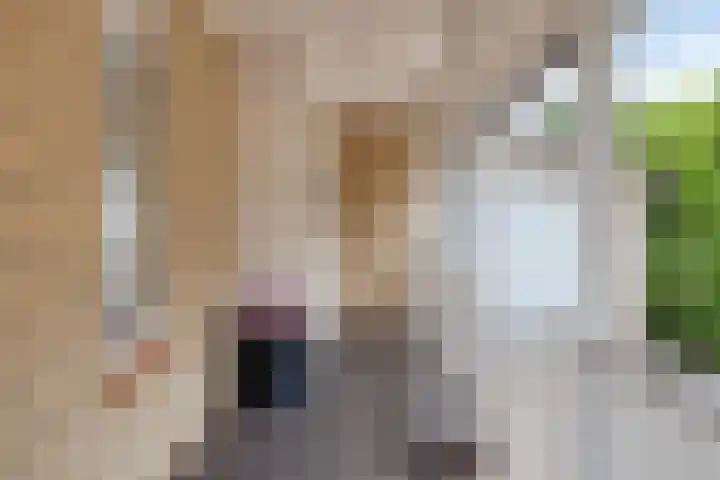 Ella Fitzgeraldlaan 70 Eindhoven thumbnail 53