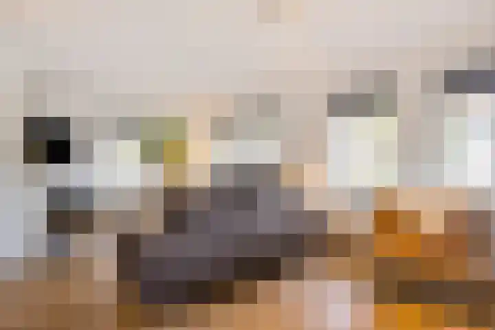 Ella Fitzgeraldlaan 70 Eindhoven thumbnail 7