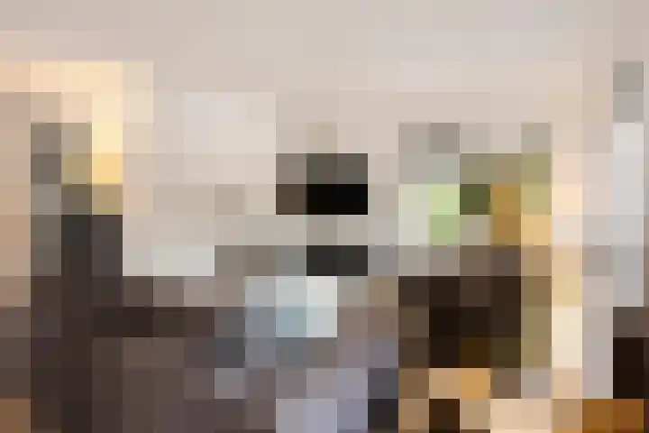 Ella Fitzgeraldlaan 70 Eindhoven thumbnail 8