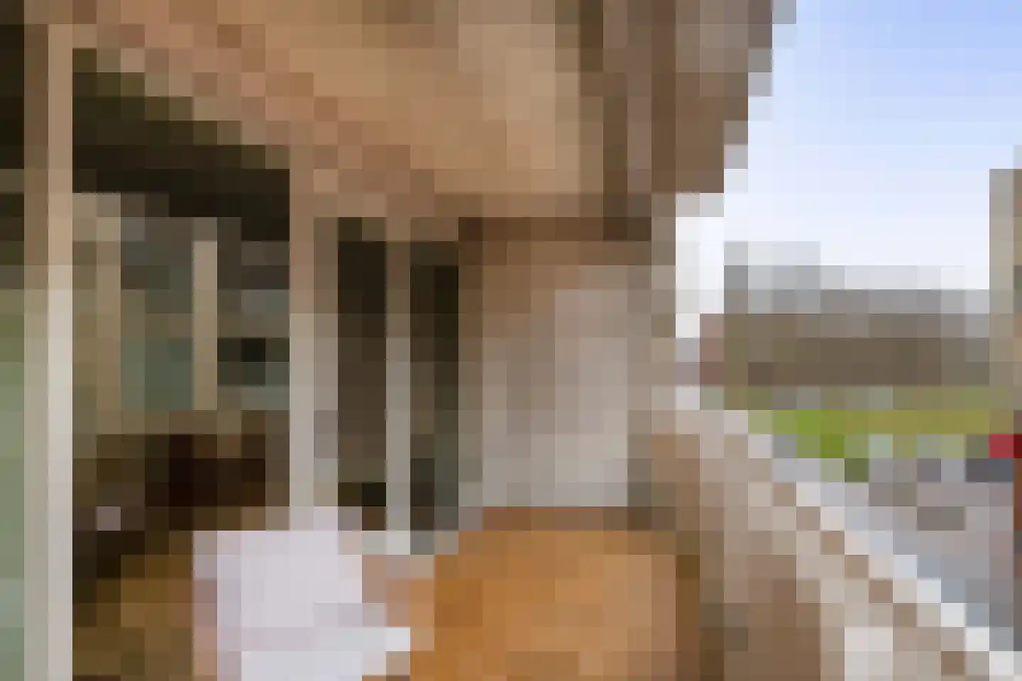 Ella Fitzgeraldplein 56 Utrecht thumbnail 4