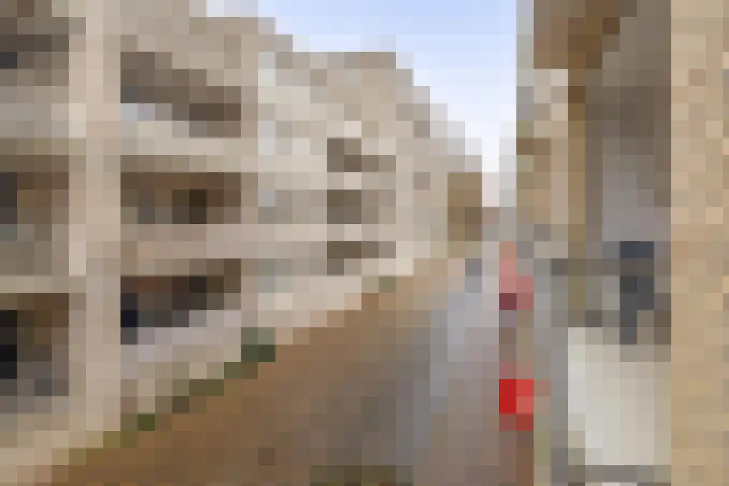 Ella Fitzgeraldplein 56 Utrecht thumbnail 8