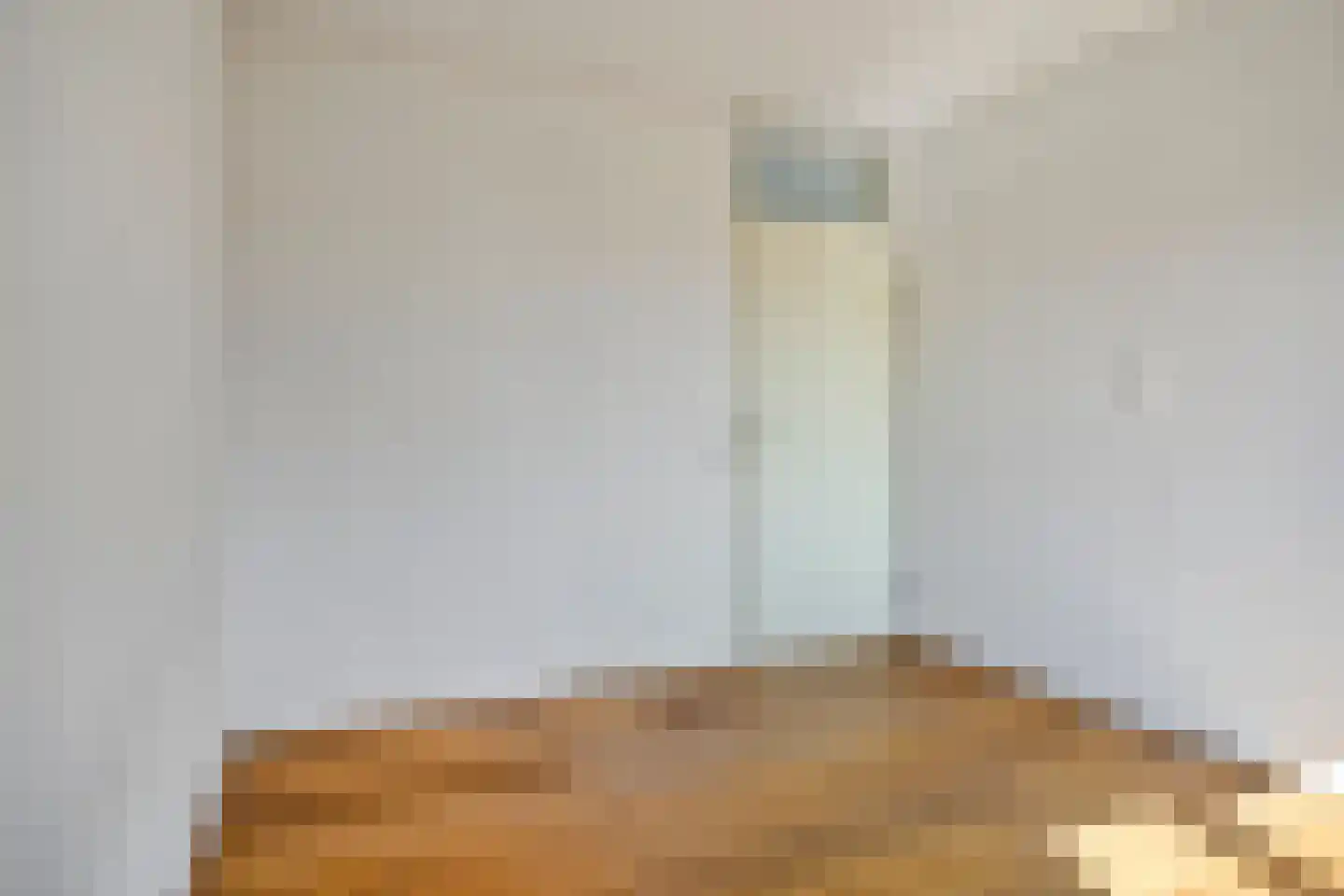 Ella Fitzgeraldstraat 17 Arnhem thumbnail 21