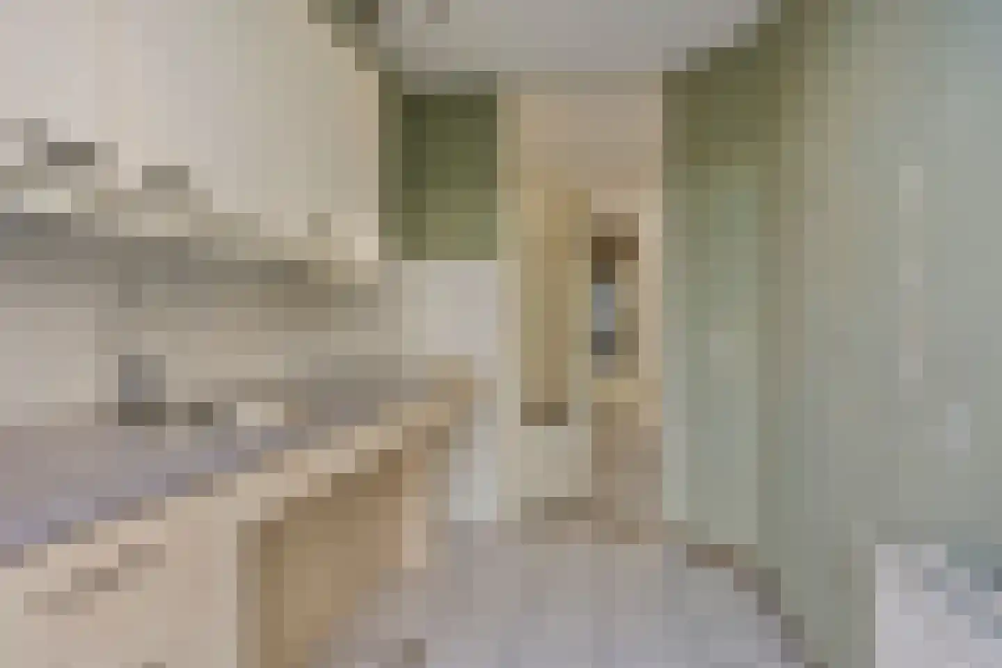 Ella Fitzgeraldstraat 23 Arnhem thumbnail 9