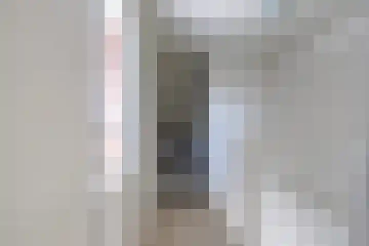 Ella Fitzgeraldstraat 30 Arnhem thumbnail 37