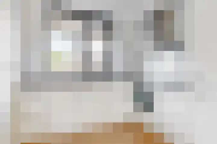 Elle Molstraat 26 Blokker thumbnail 6