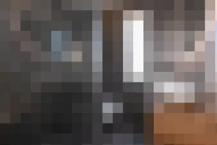 Elle Molstraat 33 Blokker thumbnail 33