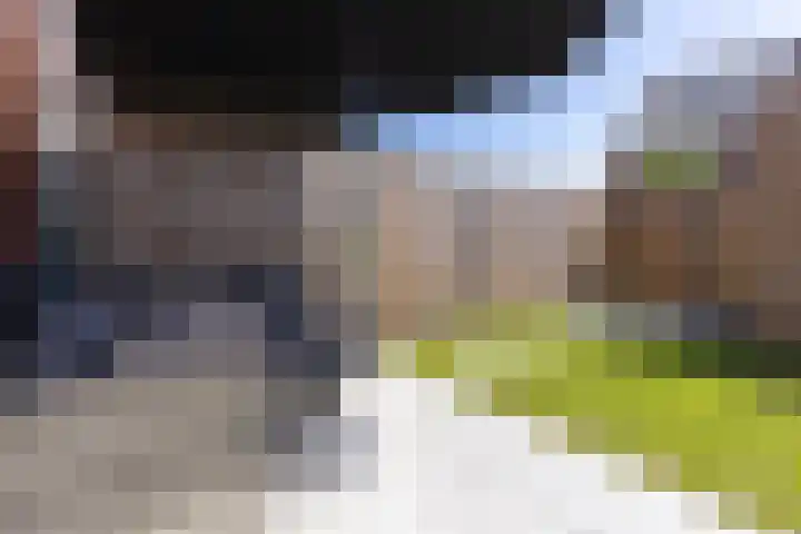 Elle Molstraat 33 Blokker thumbnail 39