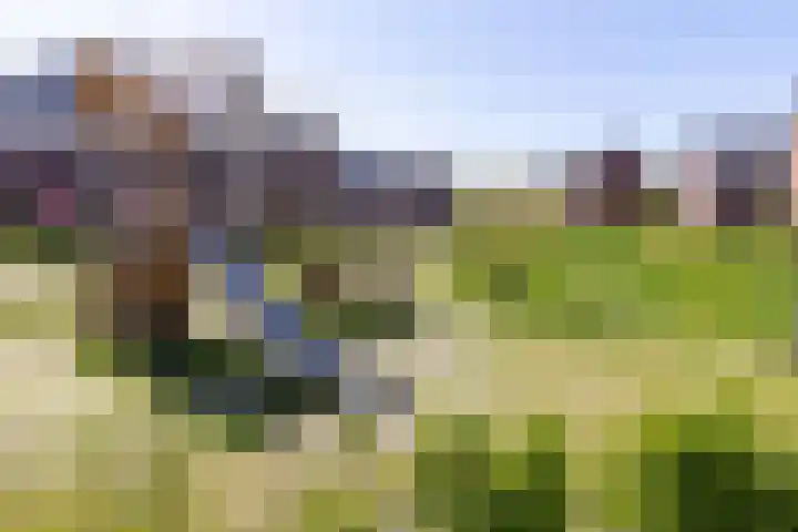 Elle Molstraat 33 Blokker thumbnail 41