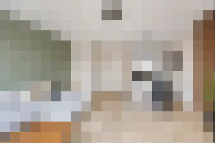 Elle Molstraat 34 Blokker thumbnail 10