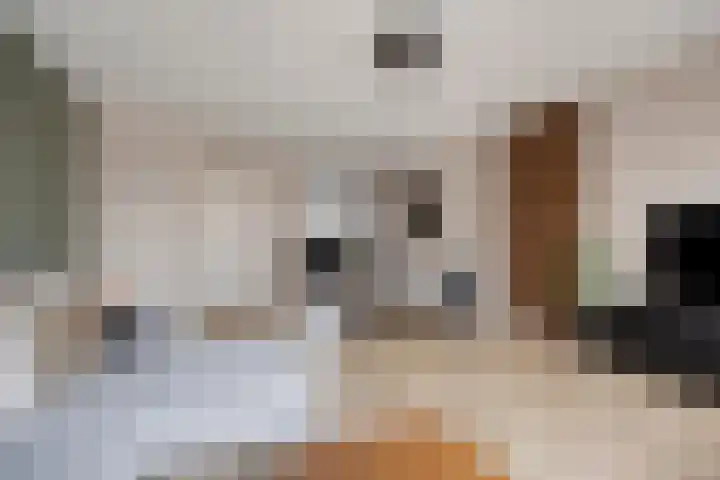Elle Molstraat 34 Blokker thumbnail 11