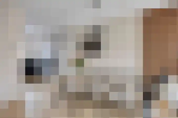 Elle Molstraat 34 Blokker thumbnail 12