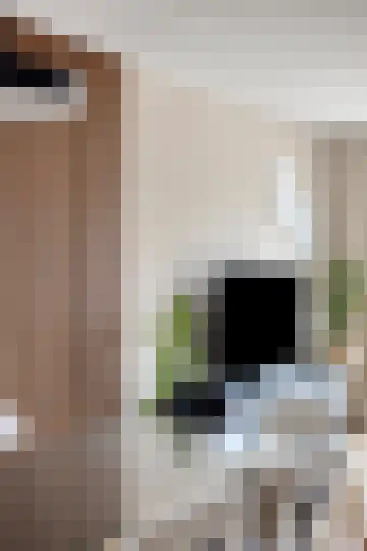 Elle Molstraat 34 Blokker thumbnail 17
