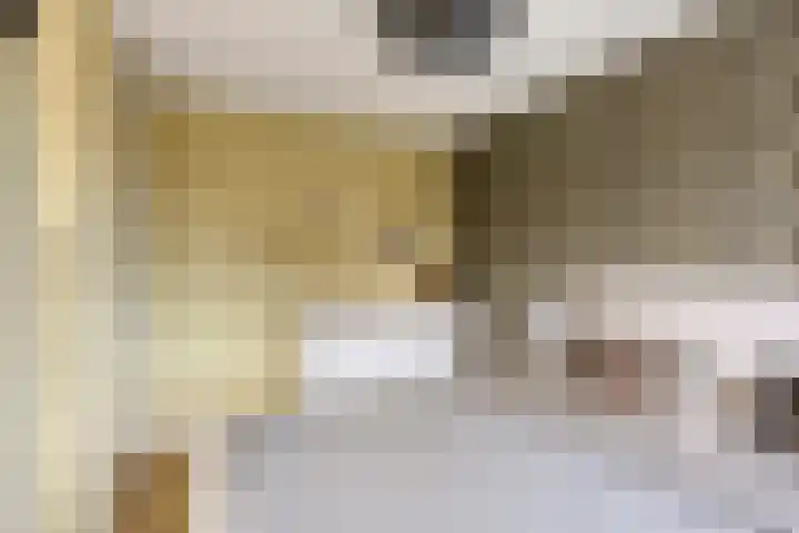 Elle Molstraat 34 Blokker thumbnail 20