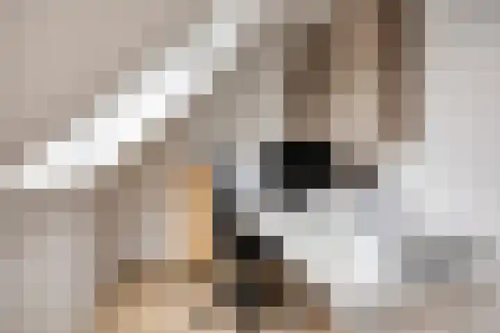 Elle Molstraat 34 Blokker thumbnail 30