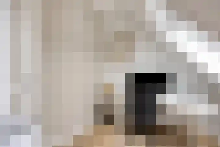 Elle Molstraat 34 Blokker thumbnail 31