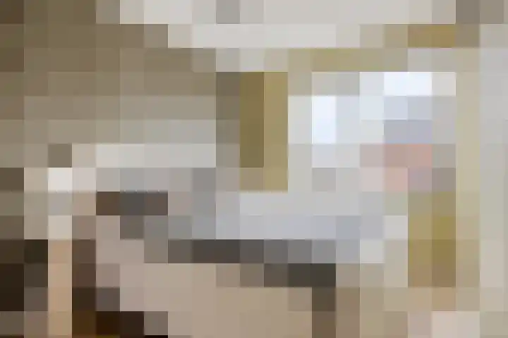 Elle Molstraat 34 Blokker thumbnail 4