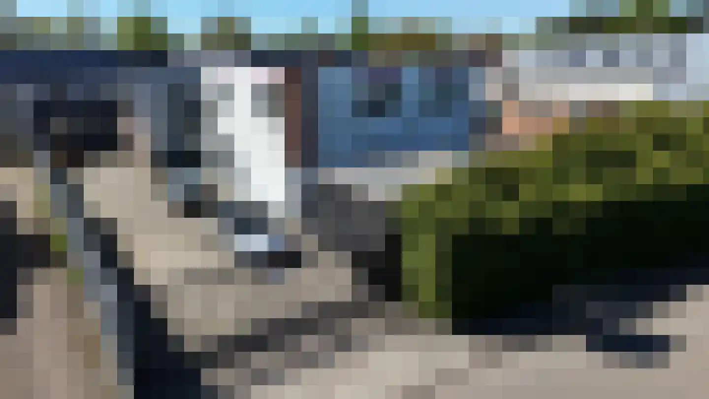 Elleboog 7 Ede