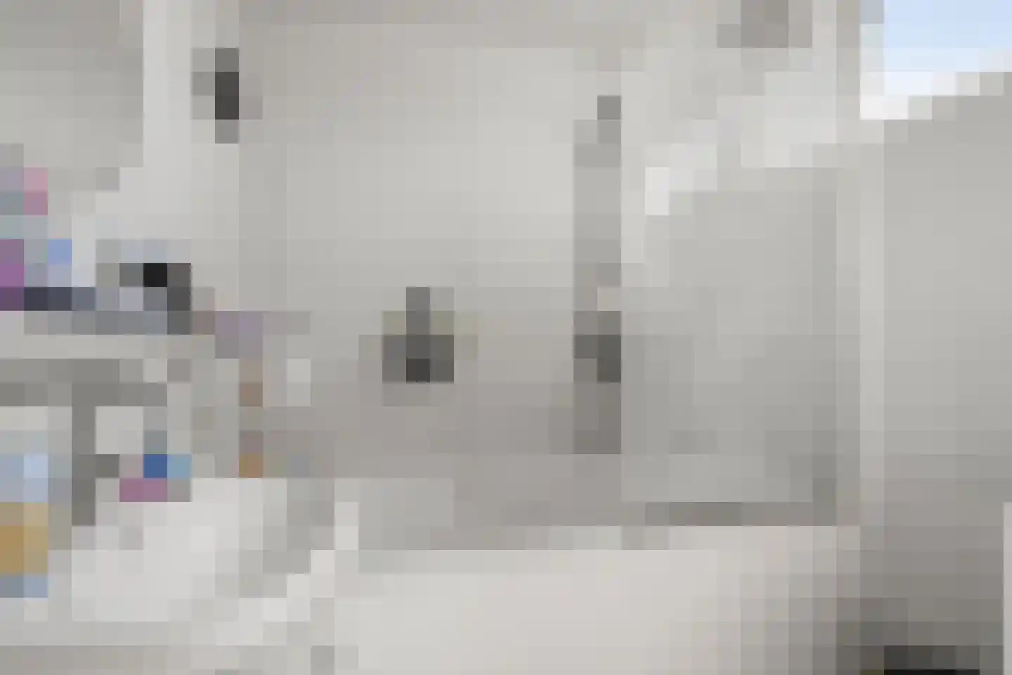 Elleboog 7 Ede thumbnail 14