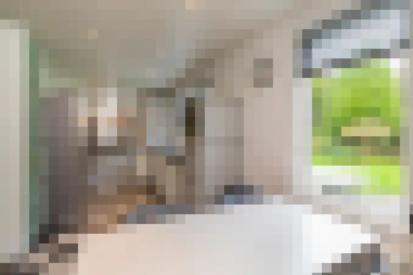 Ellebooglaan 10 Koudekerke thumbnail 14