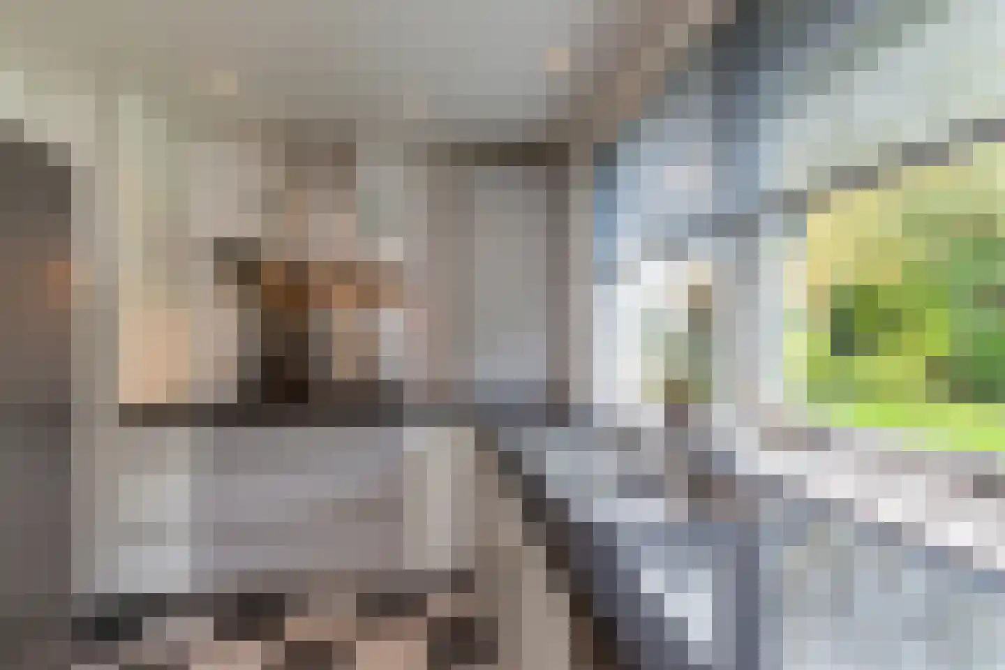 Ellebooglaan 10 Koudekerke thumbnail 15