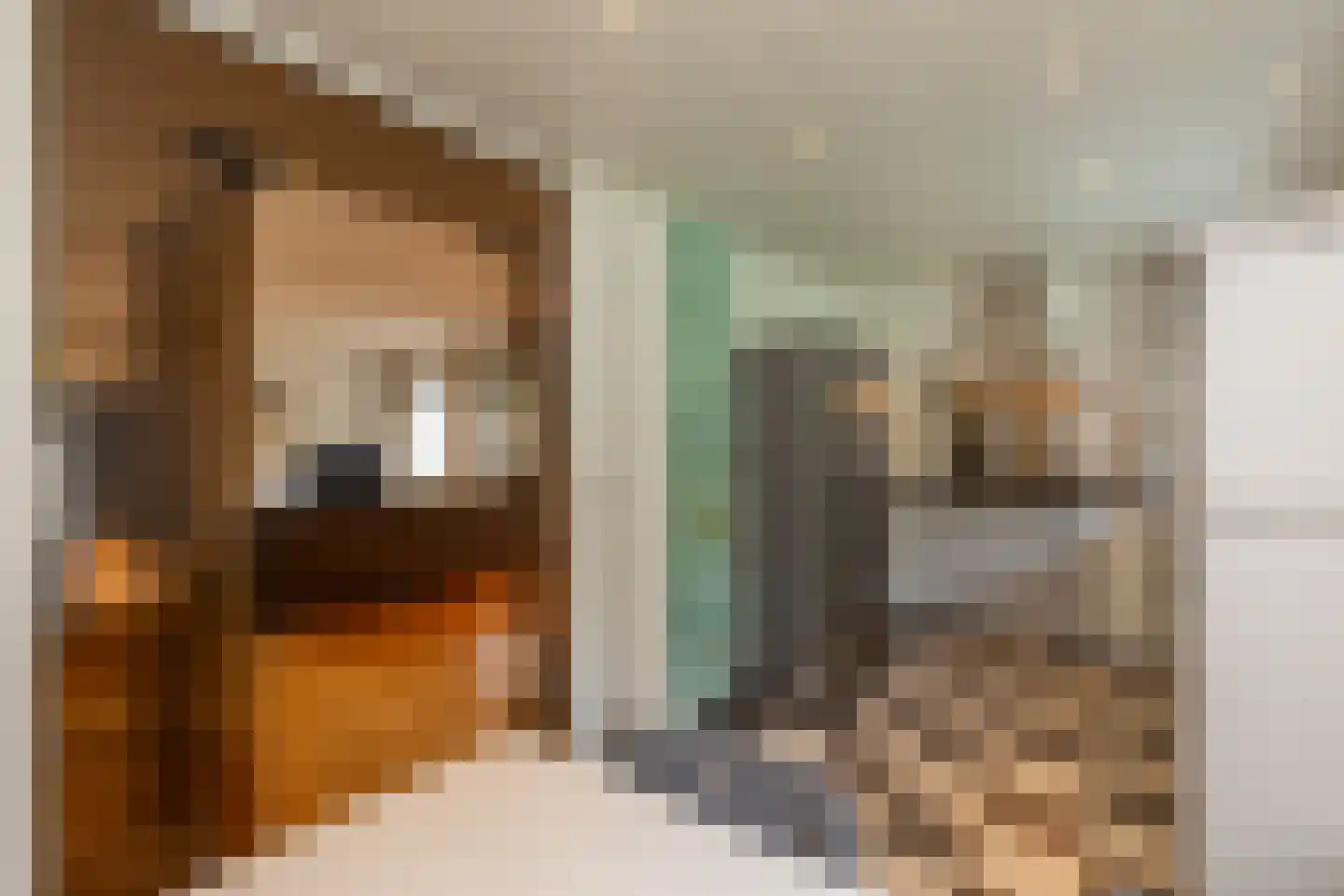Ellebooglaan 10 Koudekerke thumbnail 17