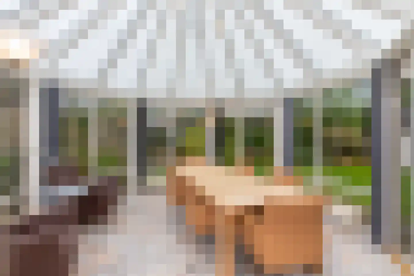 Ellebooglaan 10 Koudekerke thumbnail 22