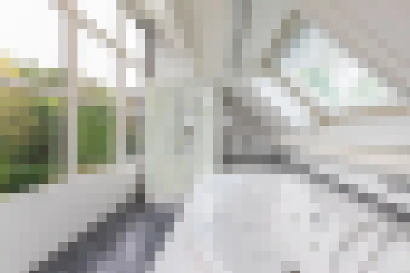 Ellebooglaan 10 Koudekerke thumbnail 30