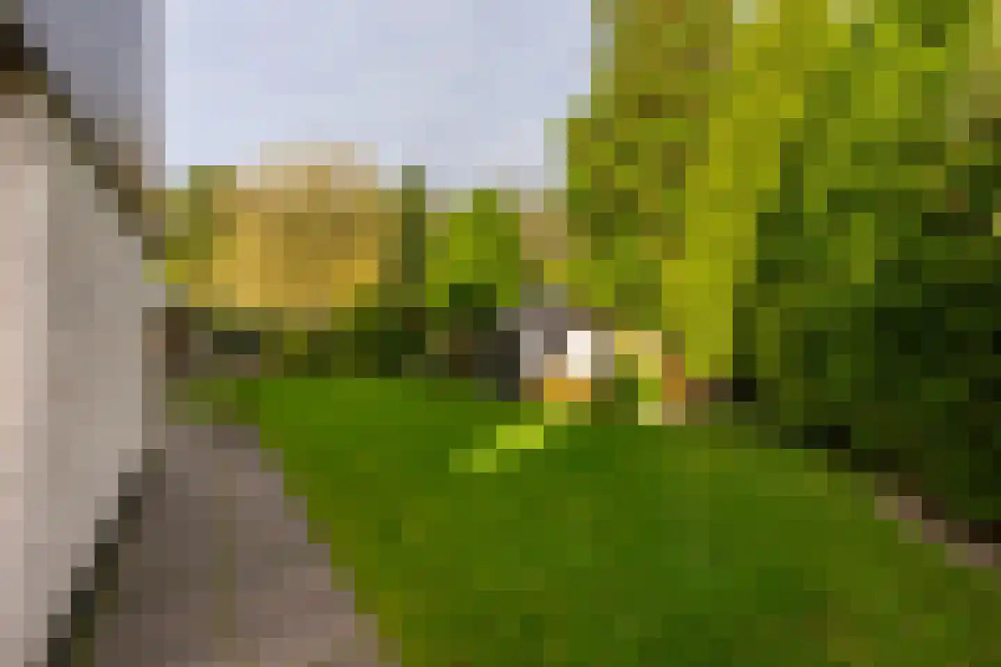 Ellebooglaan 10 Koudekerke thumbnail 40
