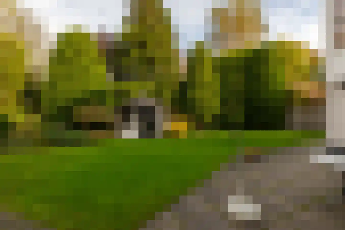 Ellebooglaan 10 Koudekerke thumbnail 42
