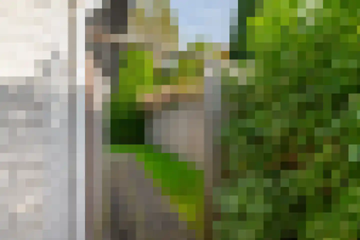 Ellebooglaan 10 Koudekerke thumbnail 48