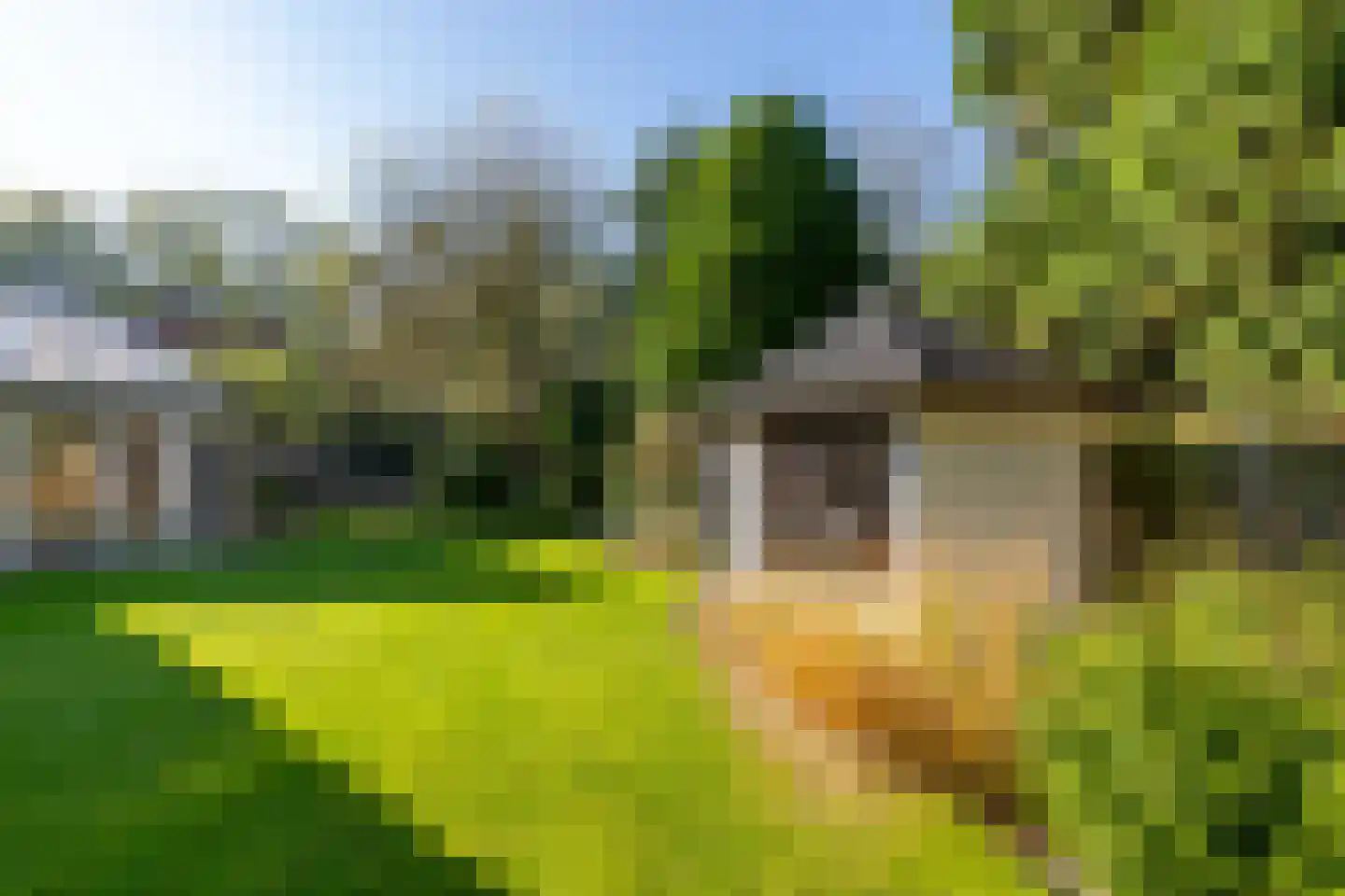 Ellebooglaan 10 Koudekerke thumbnail 5