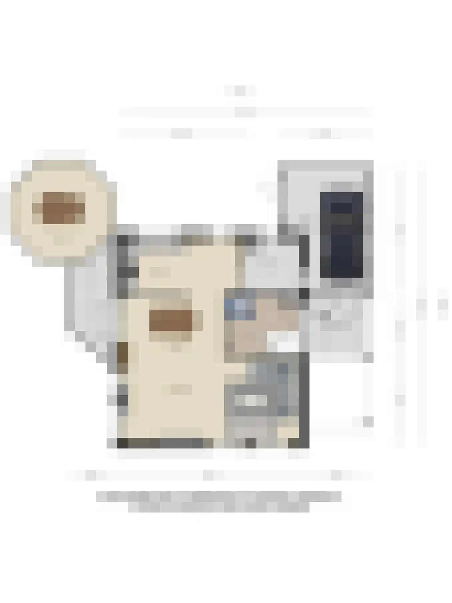 Ellebooglaan 10 Koudekerke thumbnail 56