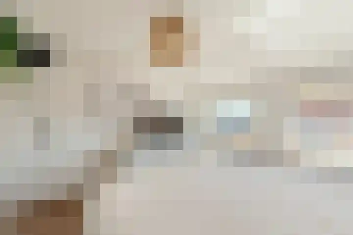 Elleboogstraat 17 Katwijk thumbnail 26
