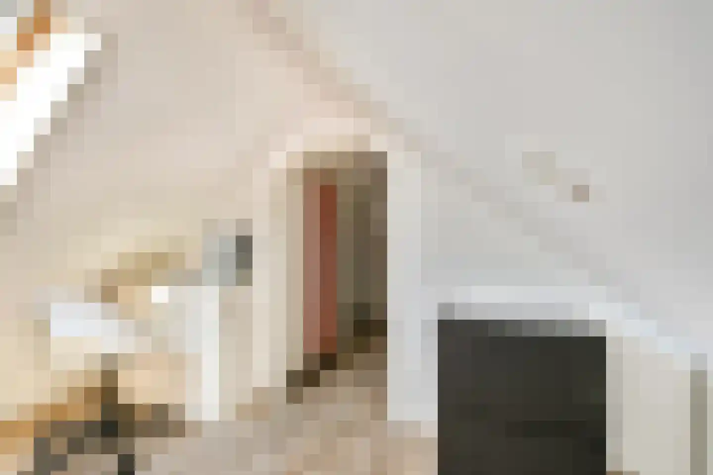 Elleboogstraat 21 Katwijk thumbnail 23