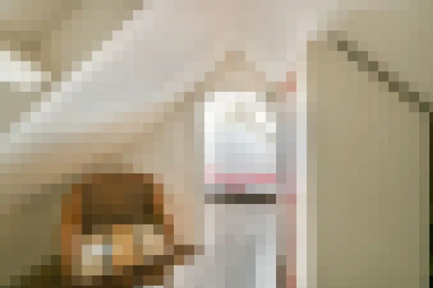 Elleboogstraat 21 Katwijk thumbnail 25
