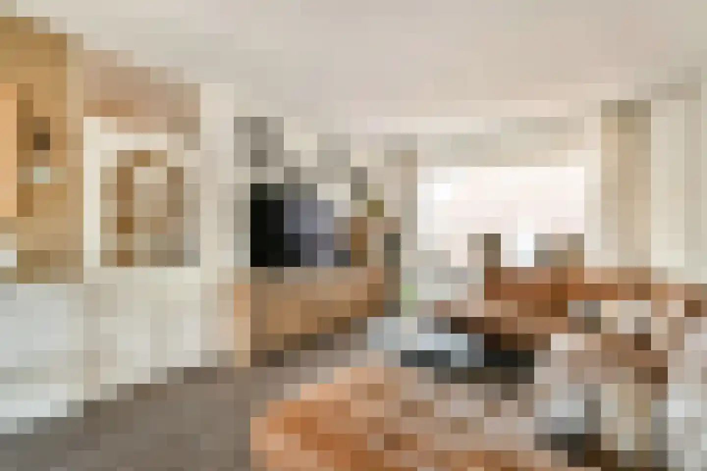 Elleboogstraat 21 Katwijk thumbnail 5