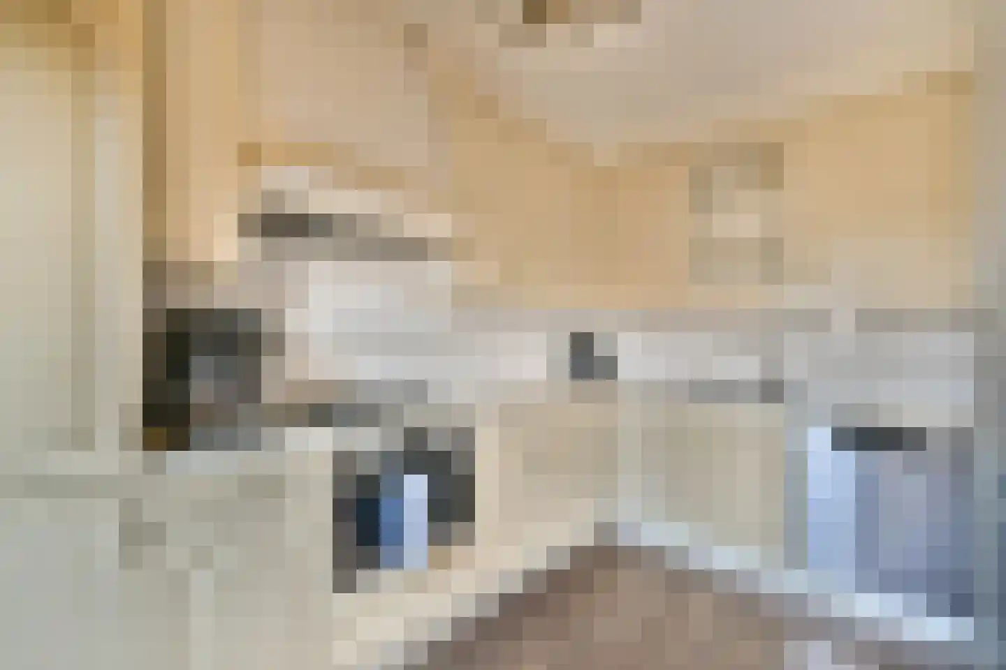 Elleboogstraat 21 Katwijk thumbnail 9