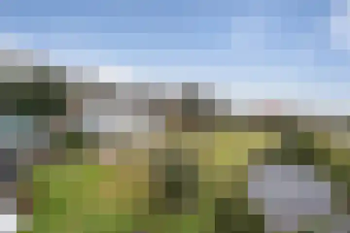 Elleboogstraat 5 Oud Gastel thumbnail 35