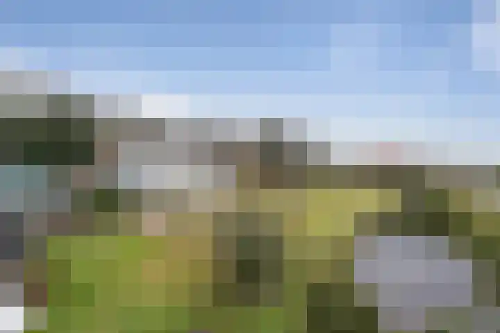 Elleboogstraat 5 Oud Gastel thumbnail 7