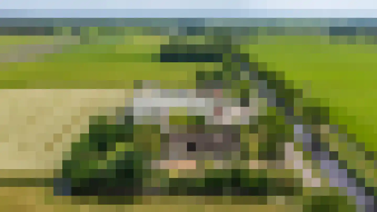 Elleboogsvaart 13 A Haulerwijk thumbnail 10