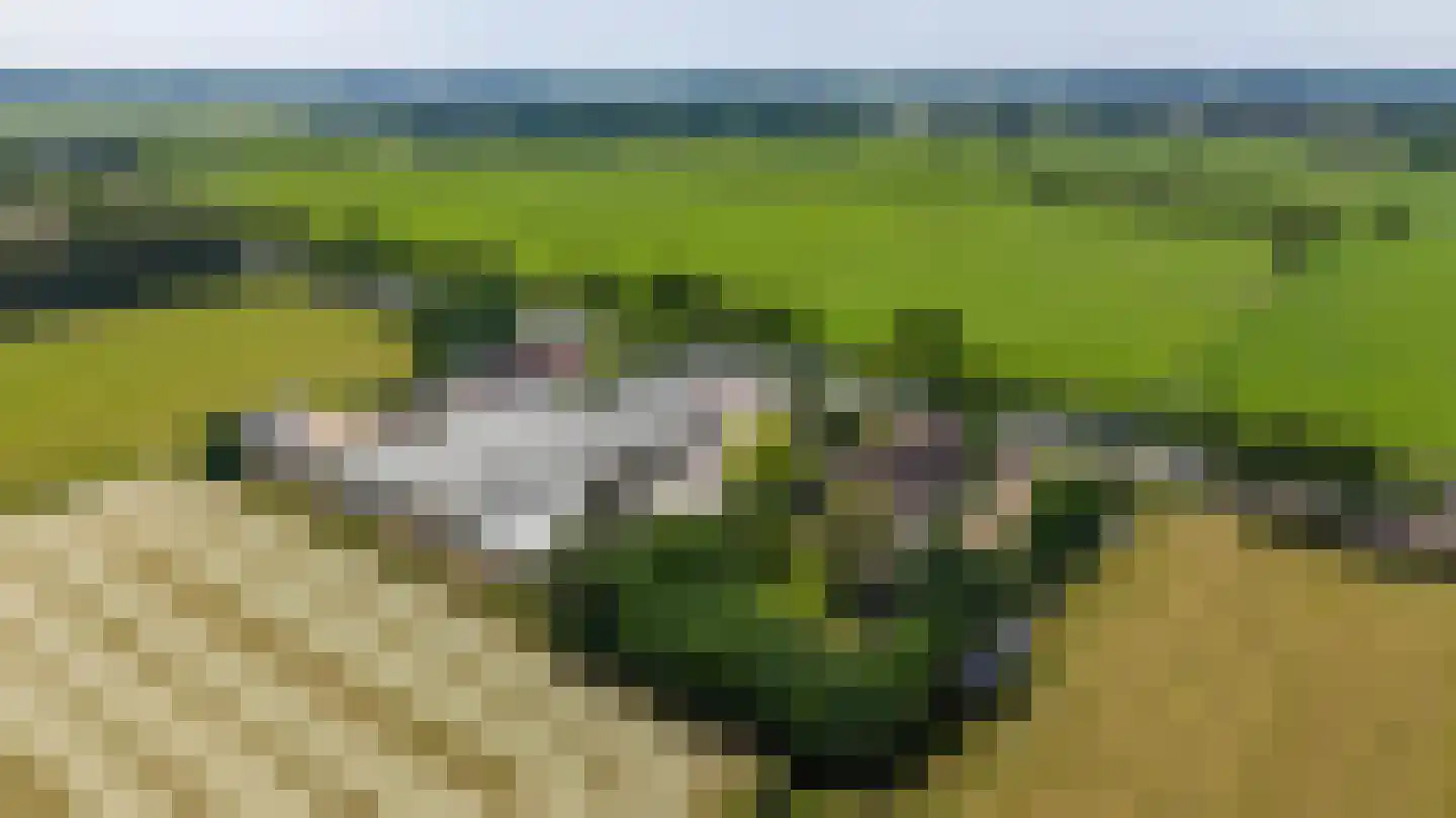 Elleboogsvaart 13 A Haulerwijk thumbnail 11
