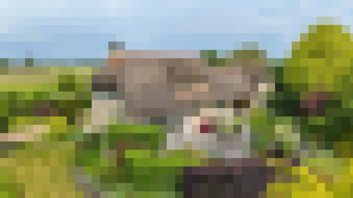 Elleboogsvaart 13 A Haulerwijk thumbnail 12