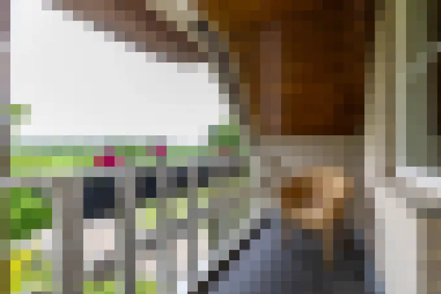 Elleboogsvaart 13 A Haulerwijk thumbnail 53