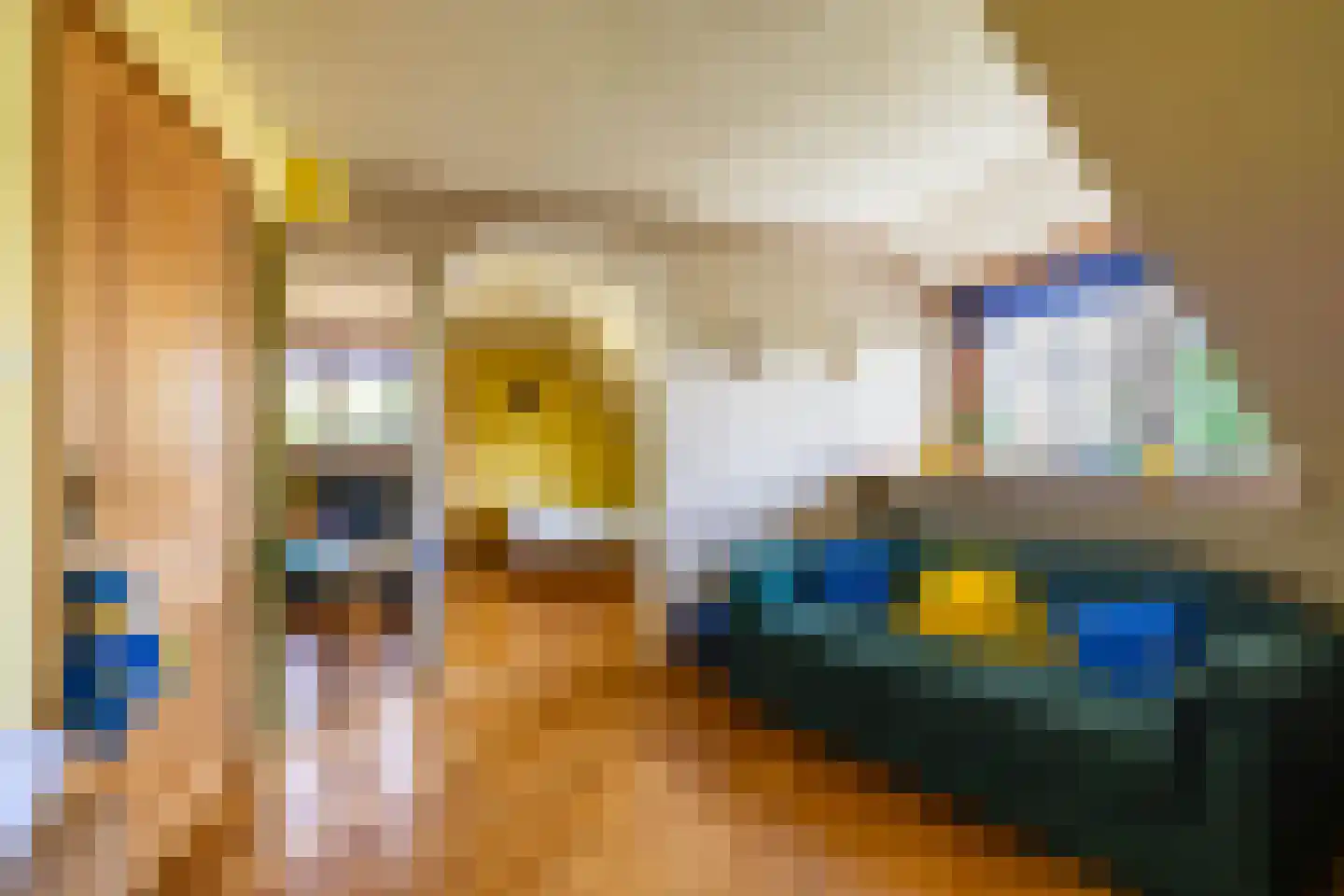 Elleboogsvaart 13 A Haulerwijk thumbnail 59