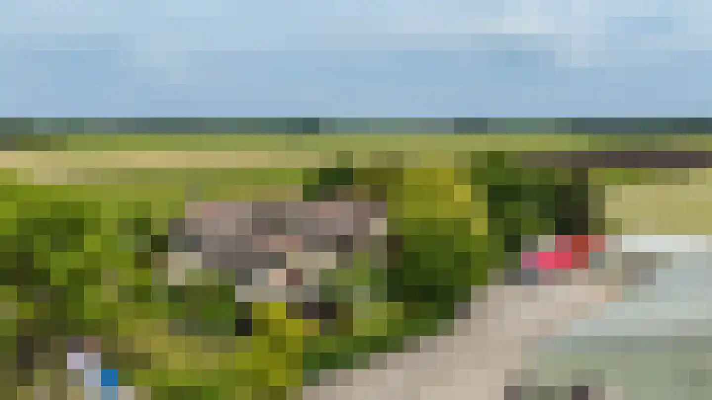 Elleboogsvaart 13 A Haulerwijk thumbnail 6