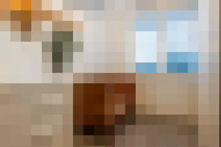 Elleboogweg 10 Apeldoorn thumbnail 11
