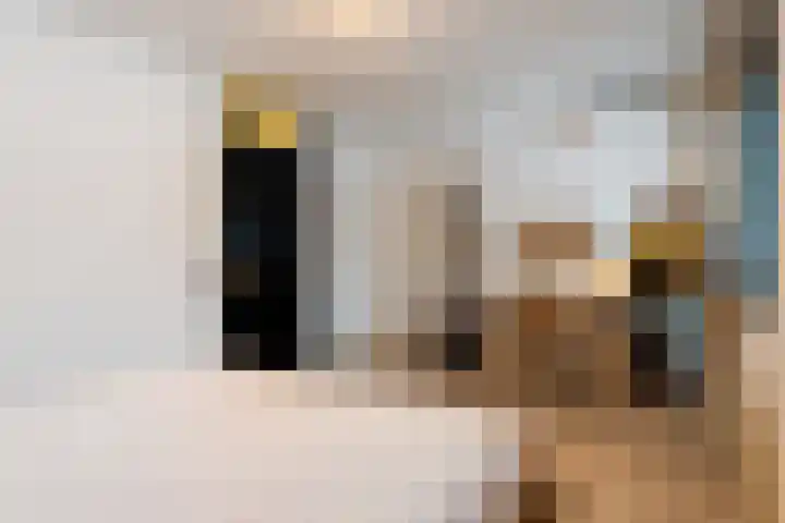 Elleboogweg 10 Apeldoorn thumbnail 14